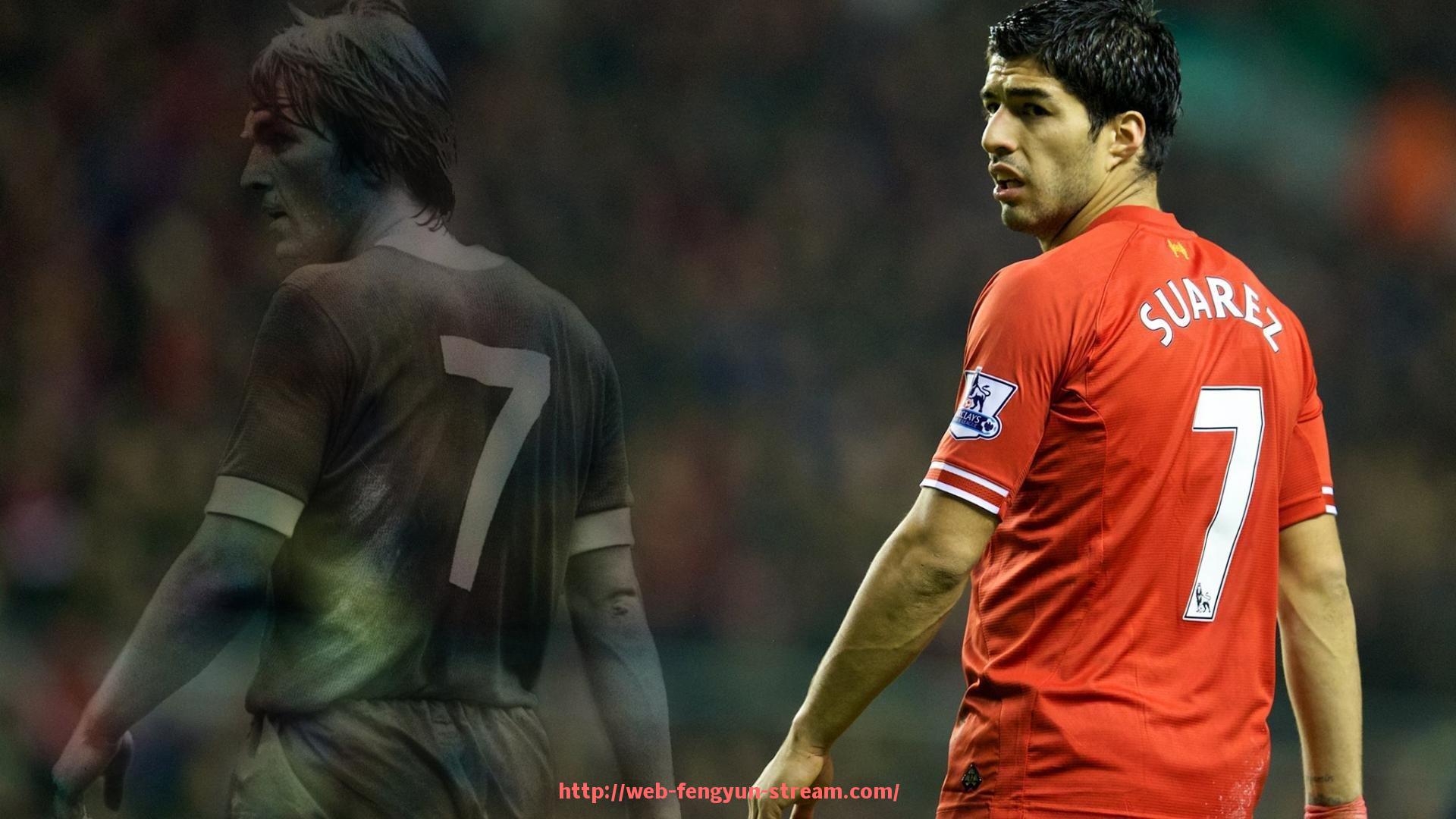 风云直播-北京阳锐健身器材企业的产品结构