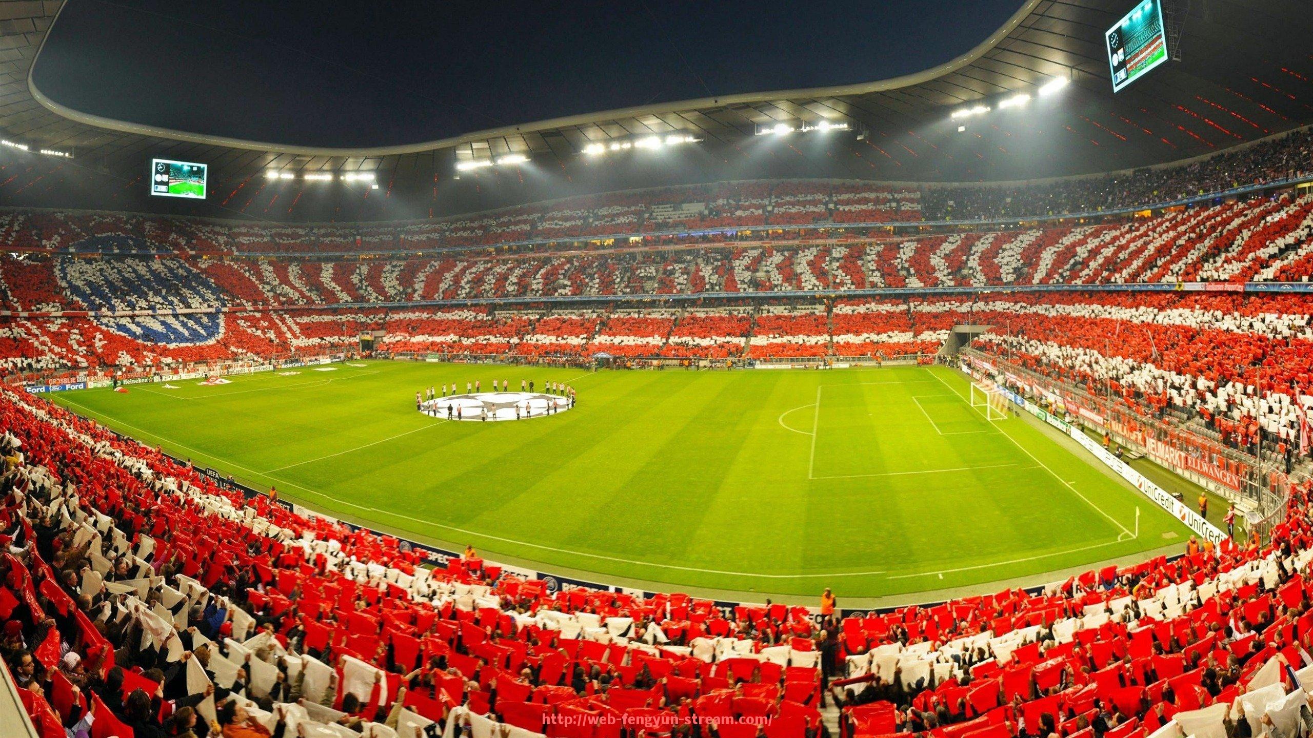 风云直播-国际知名健身器材品牌的对比与选择